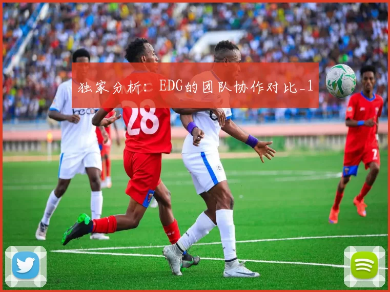 独家分析：EDG的团队协作对比_1