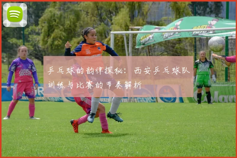 乒乓球的韵律探秘：西安乒乓球队训练与比赛的节奏解析