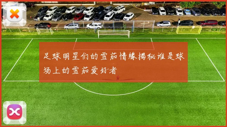 足球明星们的雪茄情缘揭秘谁是球场上的雪茄爱好者