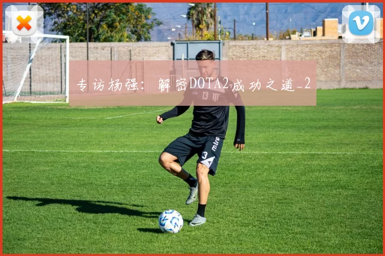 专访杨强：解密DOTA2成功之道_2