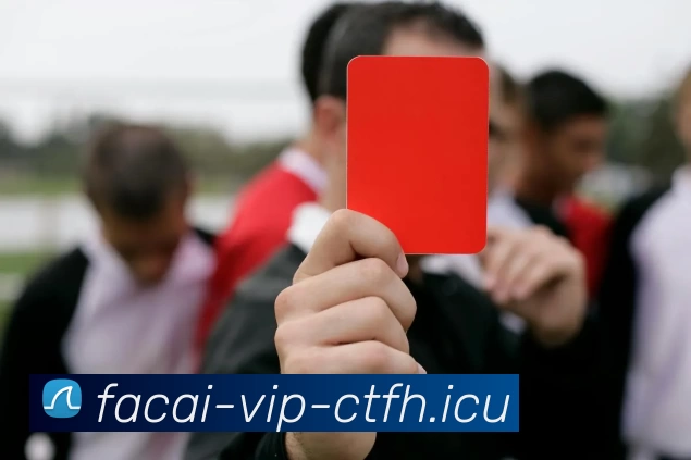 星空体育平台生态图