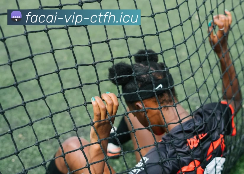 星空体育APP 封面图